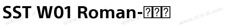 SST W01 Roman字体转换